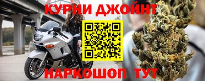 шишки Дубна