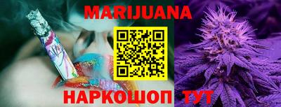 спиды Новозыбков