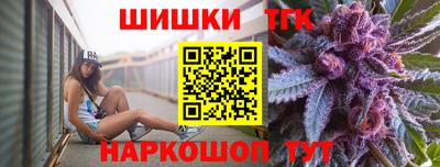 шишки Дубна