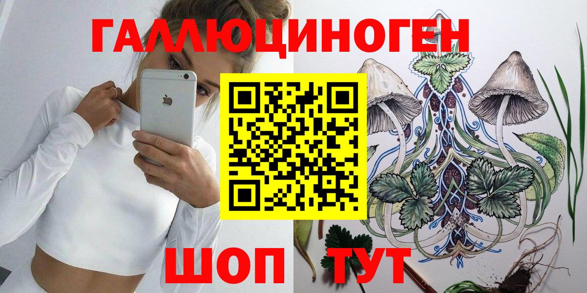 Псилоцибиновые грибы ЛСД  Губкинский  купить наркотики сайты  Псилоцибиновые грибы GOLDEN TEACHER 
