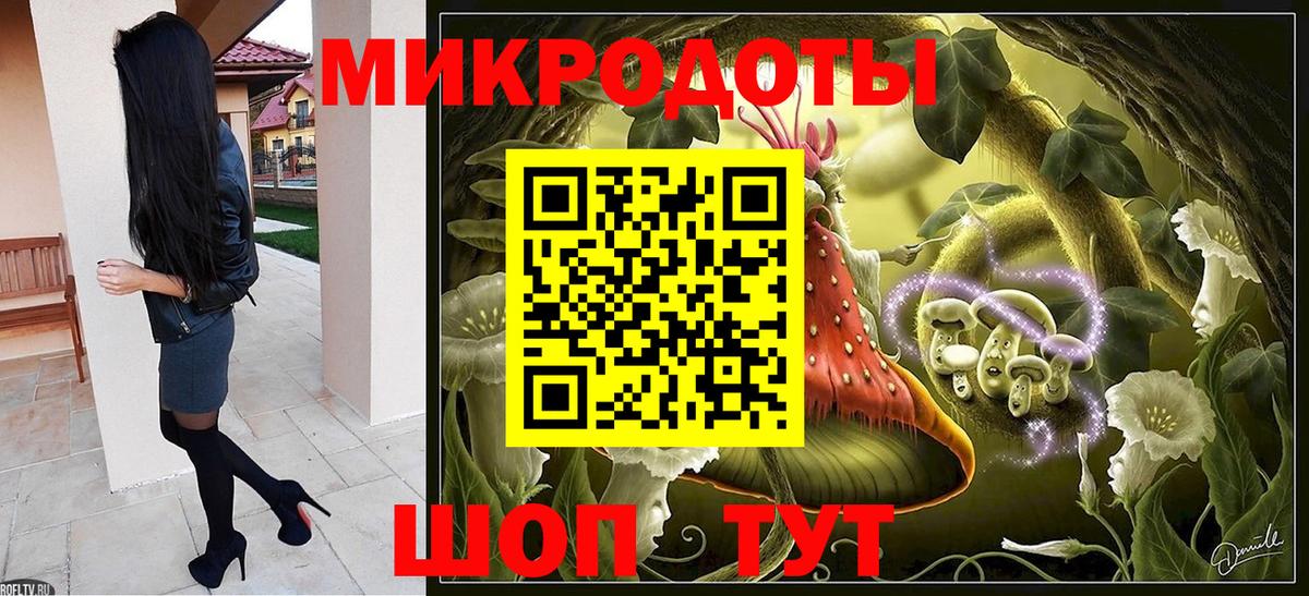 Губкинский  Псилоцибиновые грибы Psilocybe  Вход с VPN  Галлюциногенные грибы прущие грибы 