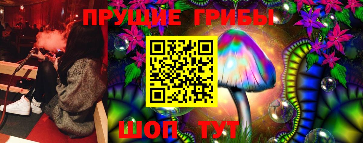 Псилоцибиновые грибы GOLDEN TEACHER Губкинский
